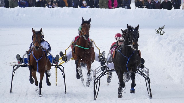 瓦塞尔谈输给骑士：骑士几乎每次都在禁区里完成终结&所有人都有责任