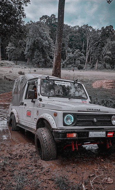 芬奇谈启用海兰德：他一直很有耐心，并在训练中表现出色