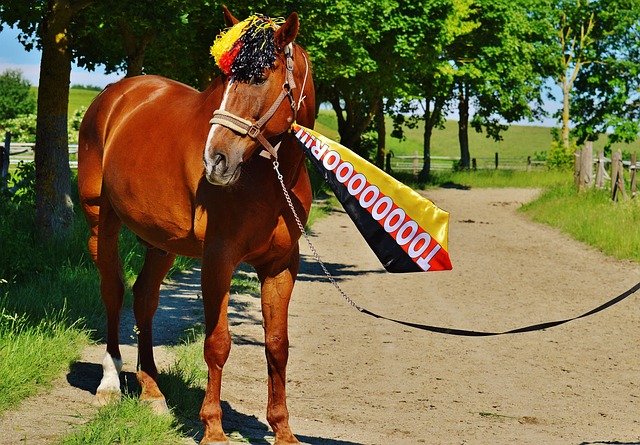 萨索洛2-2比萨，恩佐拉、马蒂奇破门，索尔茨维特读秒绝平