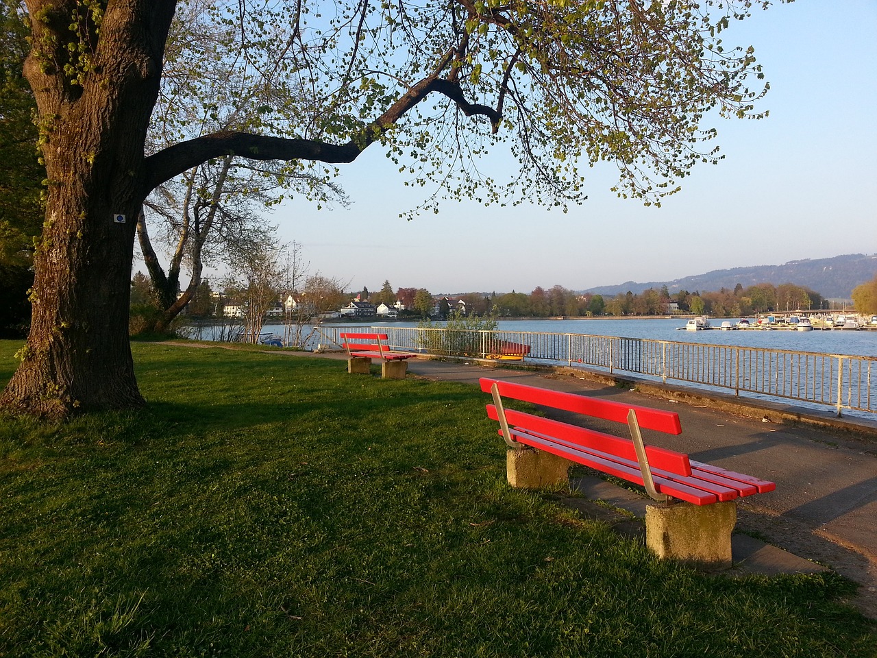 美记：多支季后赛球队询问祖巴茨交易，快船要价至少两个首轮